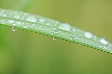 《极品飞车》新作或将延期一个月 实机视频泄露